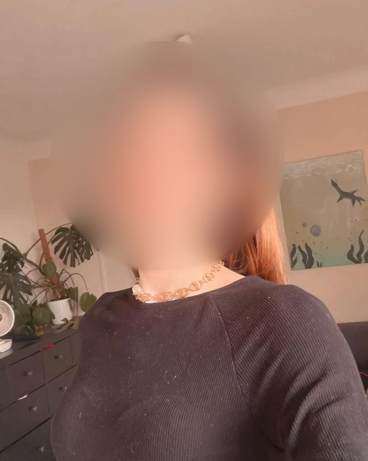 Stella &mdash; Photo 4